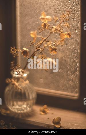 La lumière chaude du soleil illumine un vase en verre contenant des fleurs d'hortensia séchées, créant une scène automnale confortable sur un rebord de fenêtre Banque D'Images