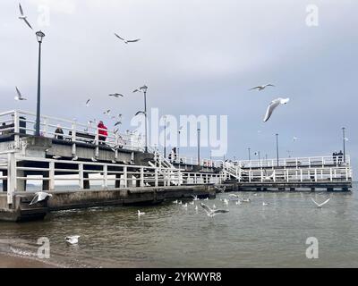 Gdansk, Poméranie, Pologne, Europe, UE Banque D'Images