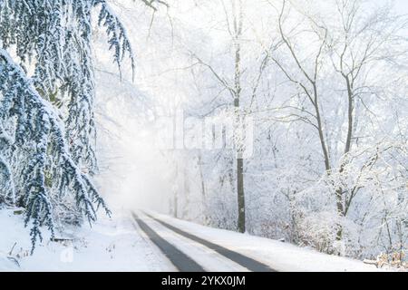 Paysage hivernal avec arbres enneigés et route. Banque D'Images