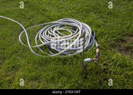 Un long tuyau repose sur l'herbe. Le tuyau est relié à une source d'eau, photo dans le jardin. Banque D'Images