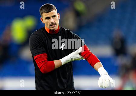 Cardiff, Royaume-Uni. 19 novembre 2024. Le gardien du pays de Galles Karl Darlow pendant l'échauffement. Pays de Galles contre Islande dans l'UEFA Nations League au Cardiff City Stadium le 19 novembre 2024. Crédit : Lewis Mitchell/Alamy Live News Banque D'Images