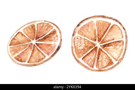 Lot de deux tranches d'orange. Agrumes secs. Illustration aquarelle dans le style rustique isolé sur fond blanc. Éléments de conception pour Noël Banque D'Images