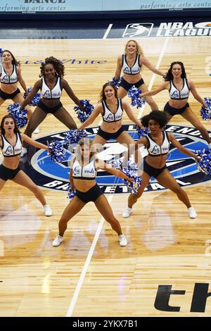 Frisco, États-Unis. 17 novembre 2024. Texas Legends cheerleaders lors du match entre Texas Legends et Memphis Hustle lors du match de saison régulière de la NBA G League au Comerica Center. Score final Texas Legends 85-90 Memphis Hustle le 17 novembre 2024 à Frisco, Texas. (Photo de Javier Vicencio/Eyepix Group/SIPA USA) crédit : SIPA USA/Alamy Live News Banque D'Images