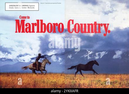 Vintage magazine 'Playboy' numéro de novembre 1995 annonce, États-Unis Banque D'Images
