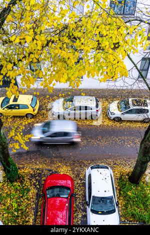 Herbst, Regenwetter, Wohnstraße, parkende Fahrzeuge, nasses Laub auf der Straße, Gehweg, Baum, Linde, mit gelb gefärbten Blättern, Essen, NRW, Deutschland, Herbstwetter *** automne, temps pluvieux, rue résidentielle, véhicules garés, feuilles mouillées sur la rue, trottoir, arbre, arbre à citron vert, avec des feuilles de couleur jaune, Essen, NRW, Allemagne, temps d'automne Banque D'Images