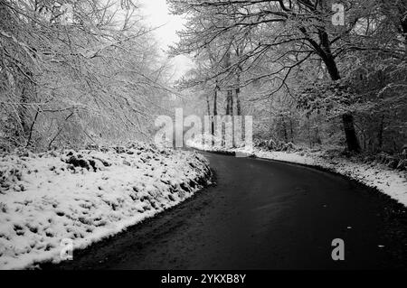 Route verglacée torsadée à travers une forêt enneigée de Wentwood en novembre. Pays de Galles du Sud. Banque D'Images