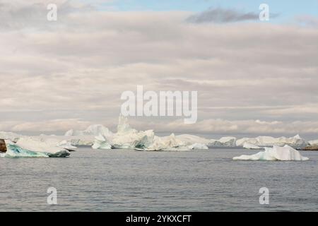 Les imposants icebergs flottent majestueusement dans les eaux cristallines près d'Ilulissat, au Groenland. Leurs formes massives, façonnées par des siècles d'histoire gelée Banque D'Images