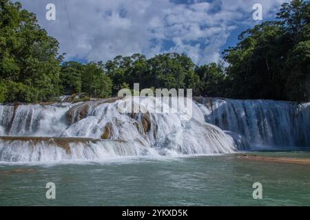 Cascades d'Agua Azul près de Palenque, Chiapas, Mexique, entouré de paysages de jungle luxuriante et avec des eaux turquoises en cascade Banque D'Images