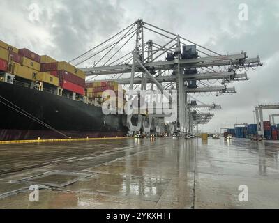 Les soldats américains avec la Garde nationale de l'armée observent les processus et procédures de sécurité au port de Savannah lors d'une visite donnée par la Georgia ports Authority, le 7 novembre 2024. Les soldats sont des professionnels de la sécurité et de la santé au travail avec la Pennsylvanie, le Texas, la Géorgie, l'Alabama, l'Oklahoma, les gardes nationaux du Tennessee et de Louisiane ont formé un groupe de travail pour observer les stratégies de sécurité en dehors d'un environnement militaire. (Photo de la Garde nationale de l'armée américaine par le Lt. Col. Deborah Fisher) Banque D'Images