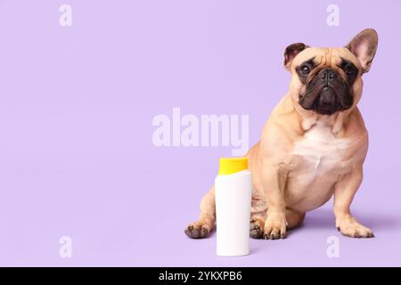 Bouledogue français mignon avec crème solaire sur fond lilas Banque D'Images