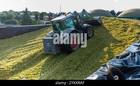 Pelle hydraulique de tracteur formant un tas de maïs fourrager haché Banque D'Images