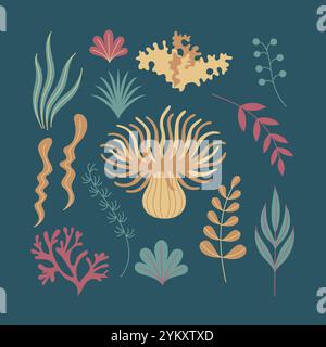 Illustration d'art plat vectoriel mettant en vedette divers éléments botaniques abstraits et inspirés par l'eau. Illustration de Vecteur