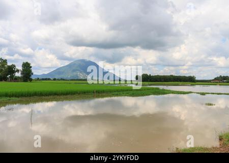 Beau paysage à Tayninh Vietnam avec le champ de riz, montagne, rivière, arbre et beau nuage de ciel. Une beauté de contryside en journée ensoleillée Banque D'Images