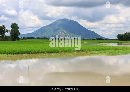 Beau paysage à Tayninh Vietnam avec le champ de riz, montagne, rivière, arbre et beau nuage de ciel. Une beauté de contryside en journée ensoleillée Banque D'Images