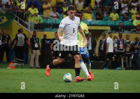 Salvador, Brésil. 19 novembre 2024. Match entre le Brésil et l'Uruguay, valable pour les qualifications à la Coupe du monde 2026, ce mardi (29) à l'Arena fonte Nova, à Salvador/BA. Crédit : Laura Lopes/FotoArena/Alamy Live News Banque D'Images