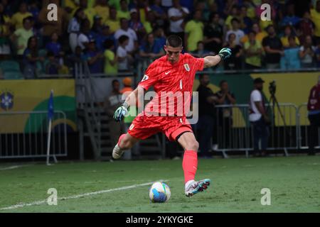 Salvador, Brésil. 19 novembre 2024. Match entre le Brésil et l'Uruguay, valable pour les qualifications à la Coupe du monde 2026, ce mardi (29) à l'Arena fonte Nova, à Salvador/BA. Crédit : Laura Lopes/FotoArena/Alamy Live News Banque D'Images