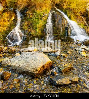 Cascade de Kings Canyon dans la forêt nationale Humboldt Toiyabe, Carson City, Nevada, États-Unis Banque D'Images