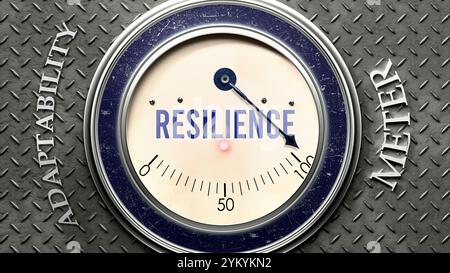 Résilience et adaptabilité qui atteint une échelle complète, montrant un très haut niveau de résilience Banque D'Images