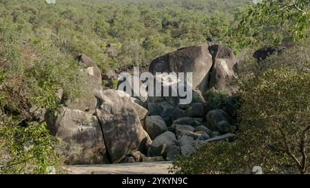 photo matinale d'hiver de l'habitat des wallabies rocheuses de mareeba à la gorge de granit Banque D'Images