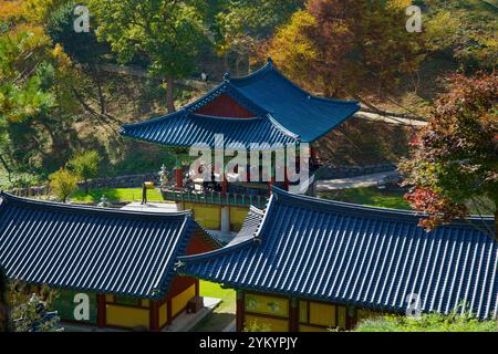 Comté de Yangyang, Corée du Sud - 3 novembre 2024 : le pavillon Botarak au temple Naksansa, entouré de feuillage d'automne, offre un cadre tranquille Banque D'Images