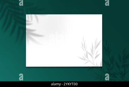 Square Paper Mockup couleur verte et blanche avec des ombres réalistes superpositions feuille. Ombre d'Une plante tropicale. Modèle de prospectus, affiche, vierge, Banque D'Images