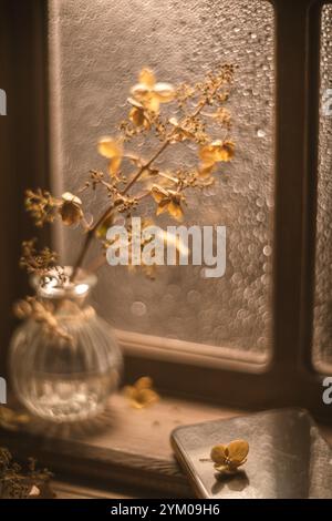 La lumière chaude du soleil illumine un vase en verre contenant des fleurs d'hortensia séchées et un téléphone portable, smartphone, téléphone portable, créant une scène automnale confortable sur Banque D'Images