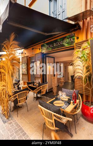 Restaurant dans la vieille ville de Collioure, Pyrénées Orientales, Roussillon, Occitanie, France, Europe Banque D'Images