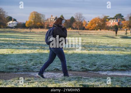 Londres, Royaume-Uni. 20 novembre 2024 Un marcheur sur Wimbledon Common couvert d'épais gel alors que la Grande-Bretagne connaît des conditions de gel alors que les températures devraient tomber en dessous de zéro degré celsius . Le met Office a étendu une alerte de temps violent pour la neige et la glace dans certaines parties du Royaume-Uni, . Crédit. Amer Ghazzal/Alamy Live News Banque D'Images