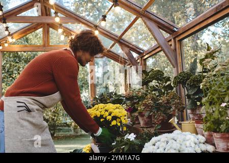 Une jeune et belle personne arrange des fleurs colorées dans une serre remplie de plantes luxuriantes. La lumière du soleil filtre à travers les vitres, créant un a chaud Banque D'Images