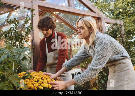 Deux jeunes hommes, l'un avec les cheveux bouclés et l'autre avec les cheveux raides, travaillent ensemble dans une serre. Ils arrangent avec amour des fleurs jaunes vives, surro Banque D'Images