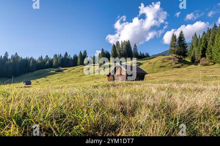 Buckelwiesen mit Heustadel BEI Krün, Mittenwald, Bayern, Deutschland, Europa Buckelwiesen mit Heustadel BEI Krün, Mittenwald, Bayern, Deutschland, EUR Banque D'Images