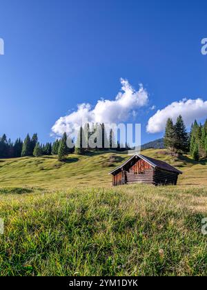 Buckelwiesen mit Heustadel BEI Krün, Mittenwald, Bayern, Deutschland, Europa Buckelwiesen mit Heustadel BEI Krün, Mittenwald, Bayern, Deutschland, EUR Banque D'Images