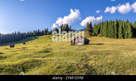 Buckelwiesen mit Heustadel BEI Krün, Mittenwald, Bayern, Deutschland, Europa Buckelwiesen mit Heustadel BEI Krün, Mittenwald, Bayern, Deutschland, EUR Banque D'Images