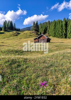 Buckelwiesen mit Heustadel BEI Krün, Mittenwald, Bayern, Deutschland, Europa Buckelwiesen mit Heustadel BEI Krün, Mittenwald, Bayern, Deutschland, EUR Banque D'Images