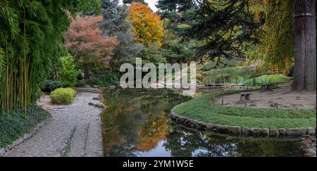 Boulogne-Billancourt, France - 11 12 2024 : jardin d'Albert Kahn. Vue panoramique sur un étang à carpes koï, arbres colorés et feuilles d'érable rouge dans une garde japonaise Banque D'Images