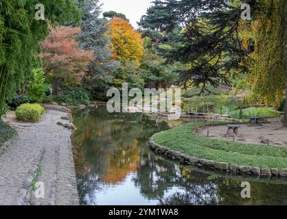 Boulogne-Billancourt, France - 11 12 2024 : jardin d'Albert Kahn. Vue panoramique sur un étang à carpes koï, arbres colorés et feuilles d'érable rouge dans une garde japonaise Banque D'Images