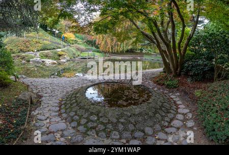 Boulogne-Billancourt, France - 11 12 2024 : jardin d'Albert Kahn. Vue panoramique sur un étang à carpes koï, arbres colorés et feuilles d'érable rouge dans une garde japonaise Banque D'Images