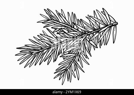 Illustration vectorielle de branche épicéa. Dessin de branche de sapin de Noël dans le style d'art au trait. Croquis dessiné à la main peint par des encres noires. Arborescence des contours graphiques Illustration de Vecteur