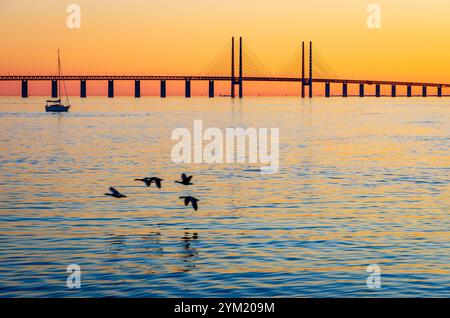 Vue au coucher du soleil sur le pont Oresund, un pont ferroviaire et autoroutier à haubans entre le Danemark et la Suède, avec un vol de canards au premier plan. Banque D'Images