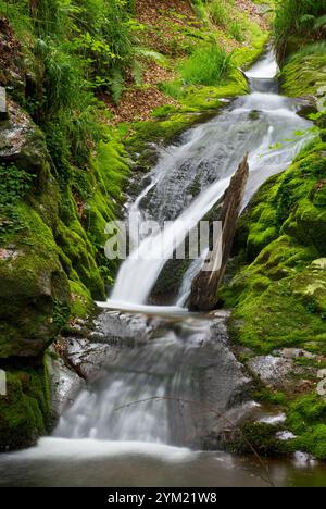 Chute d'eau. Parc Naturel de Saja-Besaya. La Cantabrie. L'Espagne. Banque D'Images