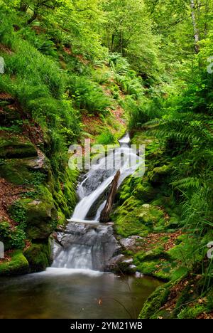 Chute d'eau. Parc Naturel de Saja-Besaya. La Cantabrie. L'Espagne. Banque D'Images