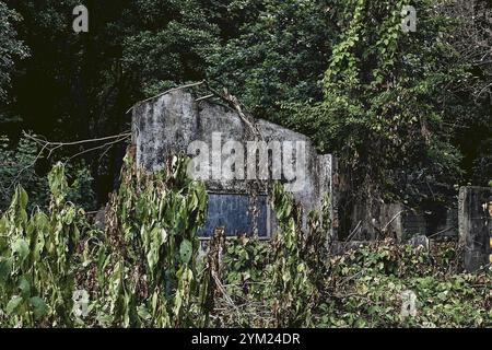 Maisons abandonnées à Armero, Tolima, Colombie, une ville fantôme laissée en ruines après l'éruption volcanique du Nevado del Ruiz de 1985. Banque D'Images