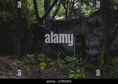 Maisons abandonnées à Armero, Tolima, Colombie, une ville fantôme laissée en ruines après l'éruption volcanique du Nevado del Ruiz de 1985. Banque D'Images
