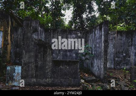 Maisons abandonnées à Armero, Tolima, Colombie, une ville fantôme laissée en ruines après l'éruption volcanique du Nevado del Ruiz de 1985. Banque D'Images
