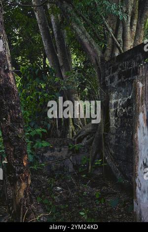 Maisons abandonnées à Armero, Tolima, Colombie, une ville fantôme laissée en ruines après l'éruption volcanique du Nevado del Ruiz de 1985. Banque D'Images