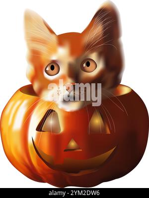 Red Cute Cat assis dans une citrouille à Halloween, une seule tête sur un fond blanc est visible. Illustration vectorielle 3D. Illustration de Vecteur