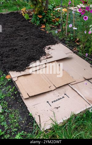 Préparer le lotissement pour l'hiver. Un lit sans creusement est fabriqué à partir d'une couche de carton, puis d'une couche de compost. Automne, Angleterre, Royaume-Uni Banque D'Images