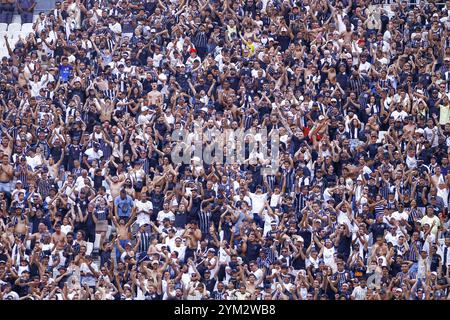 Sao Paulo, Brésil. 20 novembre 2024. SP - SAO PAULO - 11/20/2024 - BRÉSIL A 2024, CORINTHIANS x CRUZEIRO - fans lors du match entre Corinthians et Cruzeiro au stade Arena Corinthians pour le championnat brésilien A 2024. Photo : Marco Miatelo/AGIF (photo : Marco Miatelo/AGIF/SIPA USA) crédit : Sipa USA/Alamy Live News Banque D'Images