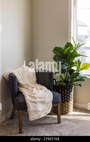 Une chaise avec une couverture blanche drapée dessus et une plante en pot dans un panier à côté Banque D'Images