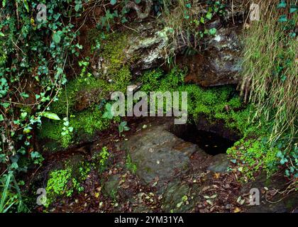 Voir SSW de Venton Uny Holy Well sur la falaise de Carbis Bay, surplombant Porth Kidney Sands et St Ives Bay, Lelant, Cornouailles, Angleterre, Royaume-Uni. Associé w Banque D'Images